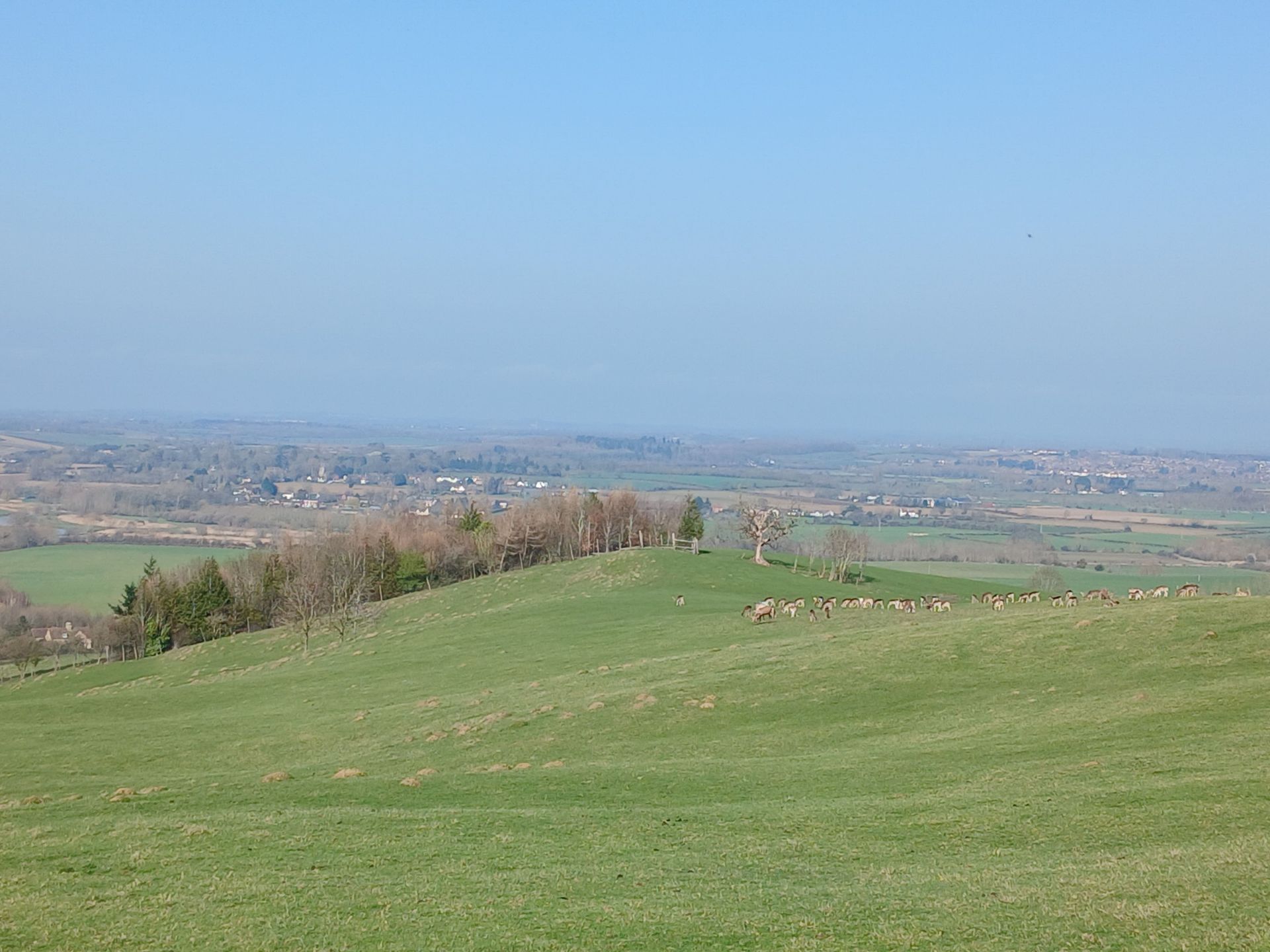 View towards deer park near Bredon's Norton